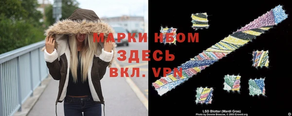 ГАЛЛЮЦИНОГЕННЫЕ ГРИБЫ Аркадак