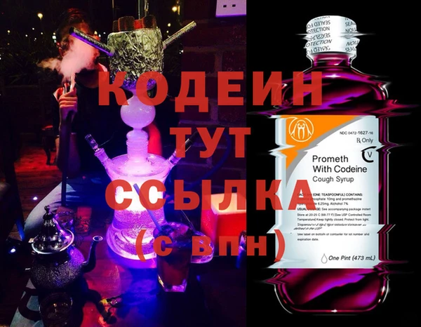 ГАЛЛЮЦИНОГЕННЫЕ ГРИБЫ Аркадак