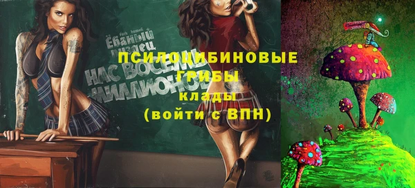 ГАЛЛЮЦИНОГЕННЫЕ ГРИБЫ Армянск