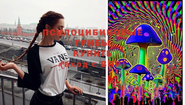 ГАЛЛЮЦИНОГЕННЫЕ ГРИБЫ Армянск