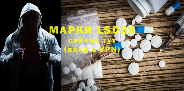 ГАЛЛЮЦИНОГЕННЫЕ ГРИБЫ Армянск