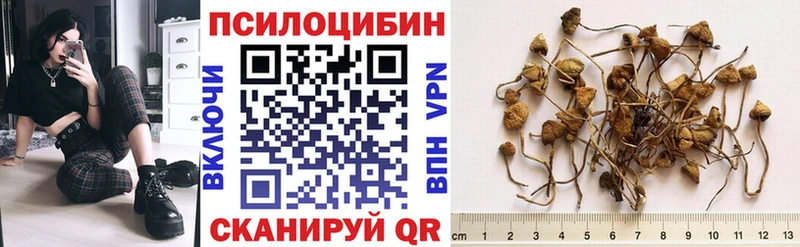 как найти закладки  Набережные Челны  KRAKEN зеркало  Галлюциногенные грибы MAGIC MUSHROOMS 