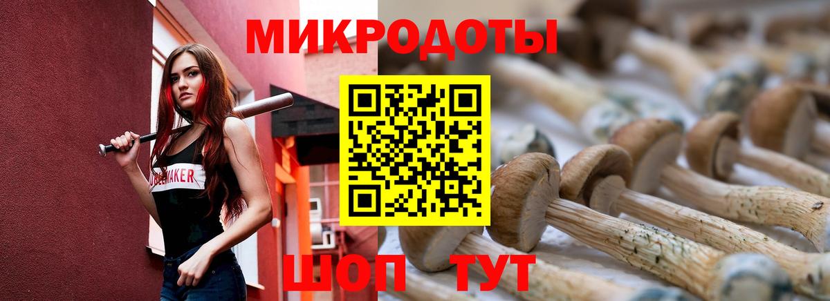 Набережные Челны  Галлюциногенные грибы Cubensis  закладка  Вход с VPN 